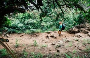 Best Things to Do in Costa Rica on a Solo Trip