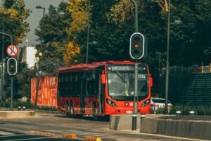 Mexico City Buses