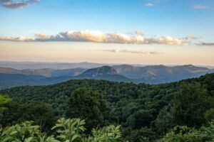Food, art, nature, and short solo trips